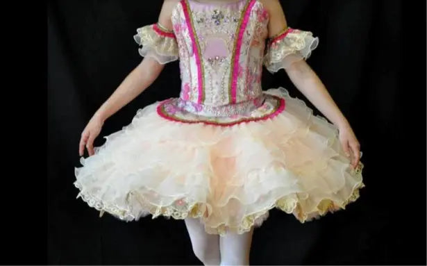 girl posing with sleeping beauty tutu
