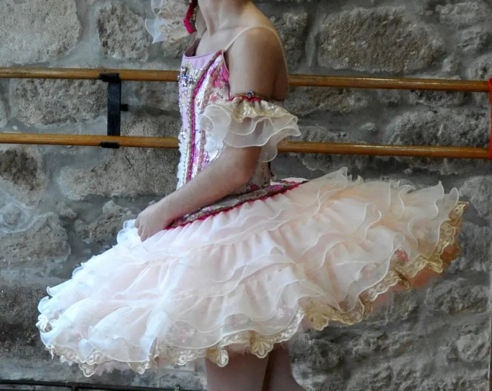 girl wearing sleeping beauty handmade tutu